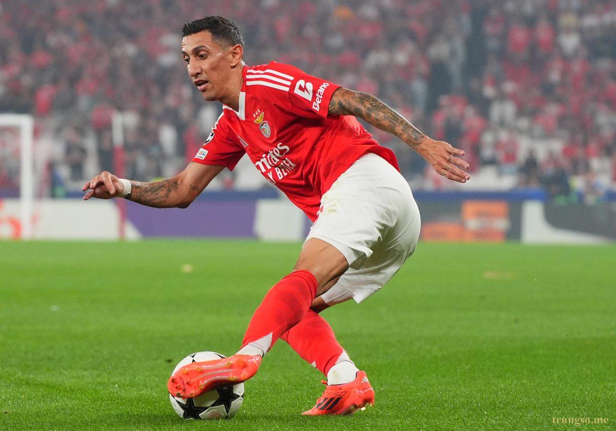 Ángel Di María & Thần Số Học: Năng Lượng Số 6 Của Sự Cống Hiến và Trách Nhiệm